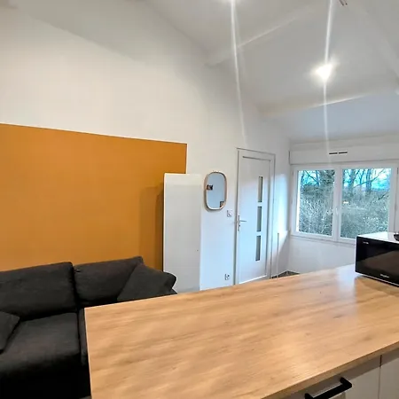 Apartment Les Coureurs De Lune, Petit Dej Inclus, 10mn Du Parc *