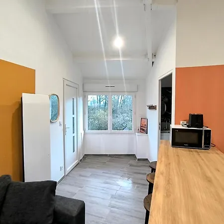 Apartment Les Coureurs De Lune, Petit Dej Inclus, 10mn Du Parc